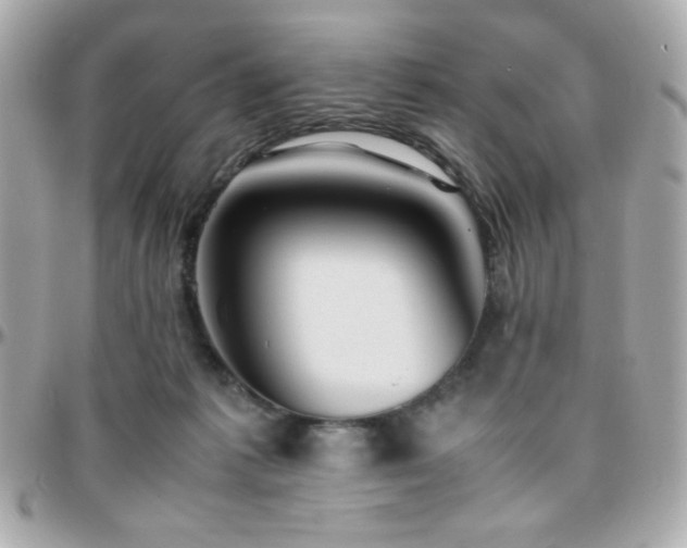 X0000096460221200801241414