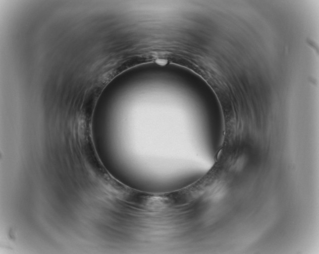 X0000096460222200801241414