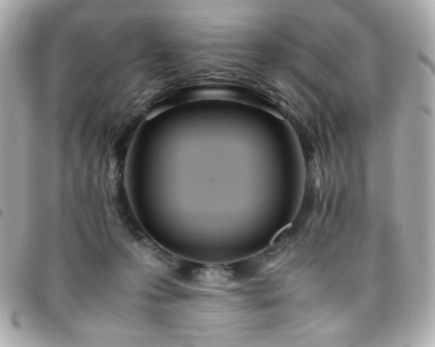 X0000096460223200801241414
