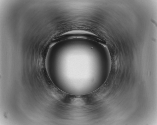 X0000096460224200801241413