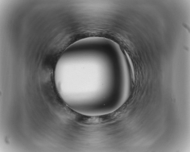 X0000096460225200801241413