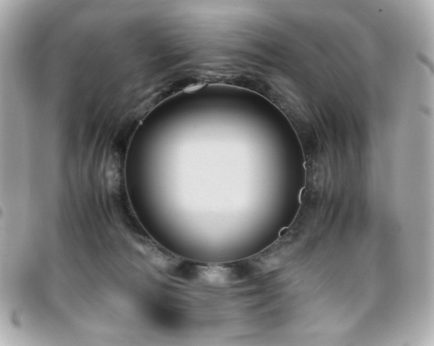 X0000096460226200801241413