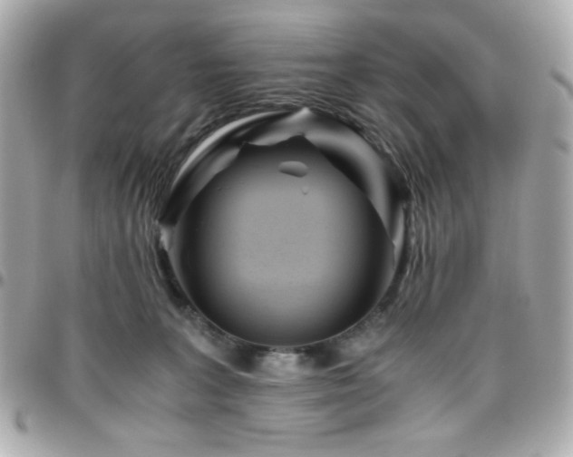 X0000096460227200801241413