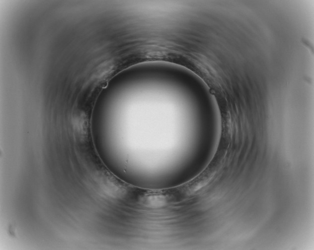 X0000096460228200801241413