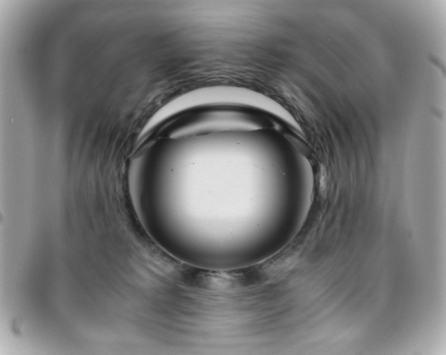 X0000096460229200801241413