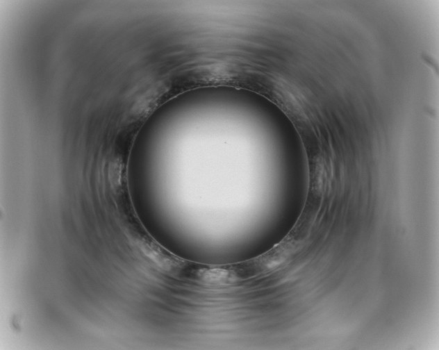 X0000096460230200801241413