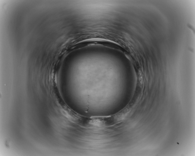 X0000096460231200801241413