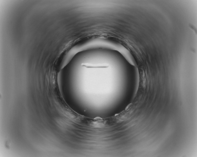 X0000096460232200801241413
