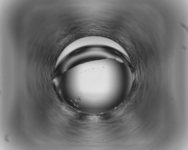 X0000096460233200801241413