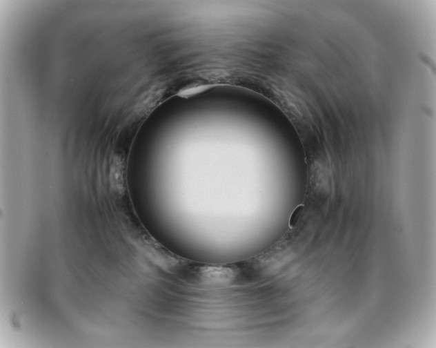 X0000096460234200801241413