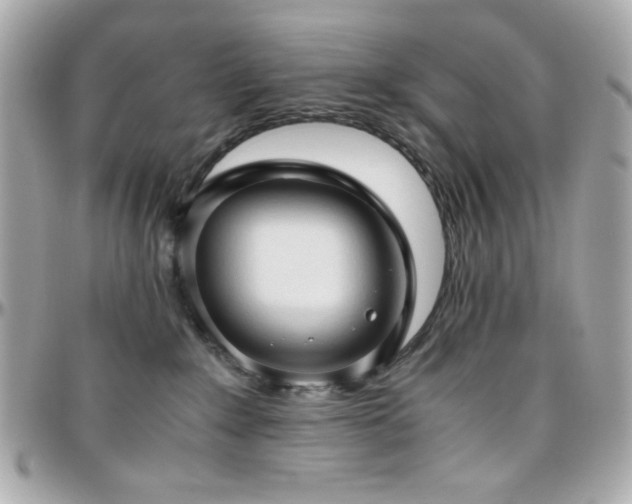X0000096460235200801241413