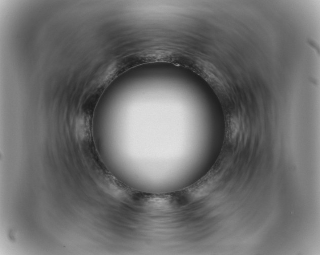 X0000096460236200801241413