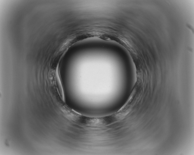 X0000096460237200801241413