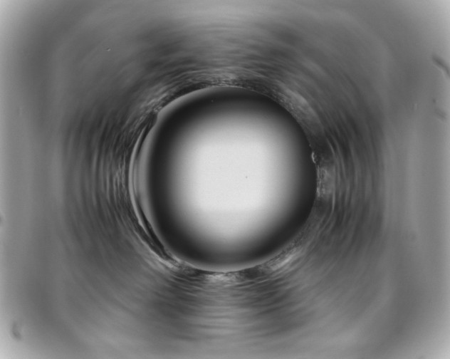 X0000096460238200801241413