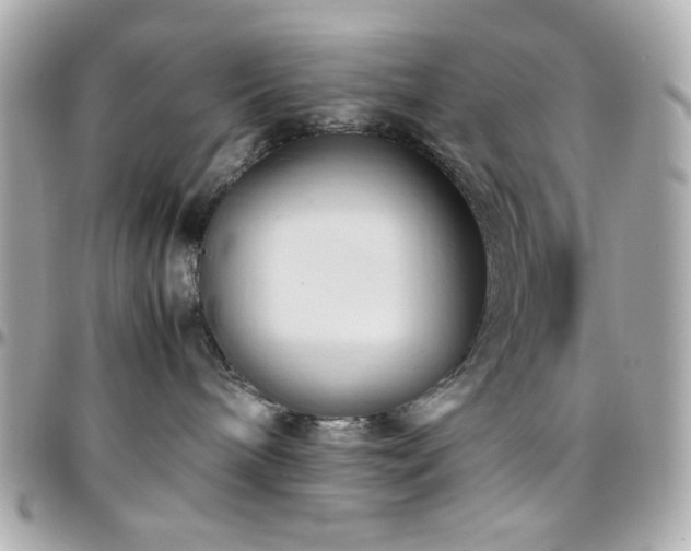 X0000096460240200801241413
