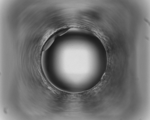 X0000096460241200801241413