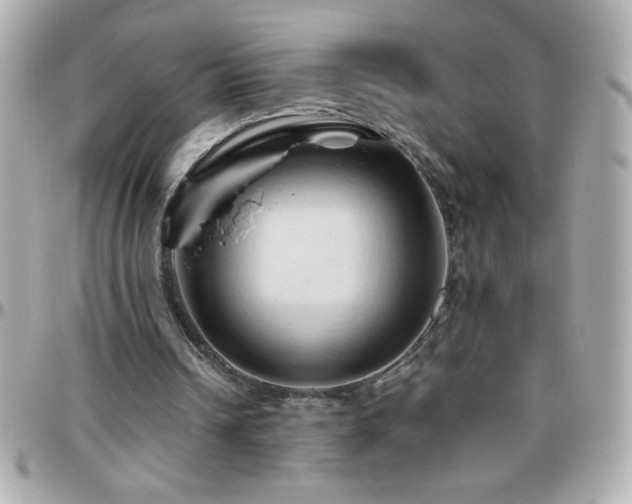 X0000096460242200801241413