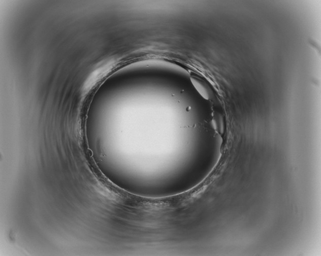 X0000096460245200801241413