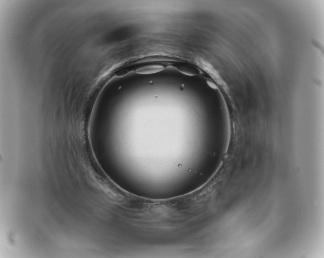 X0000096460249200801241413