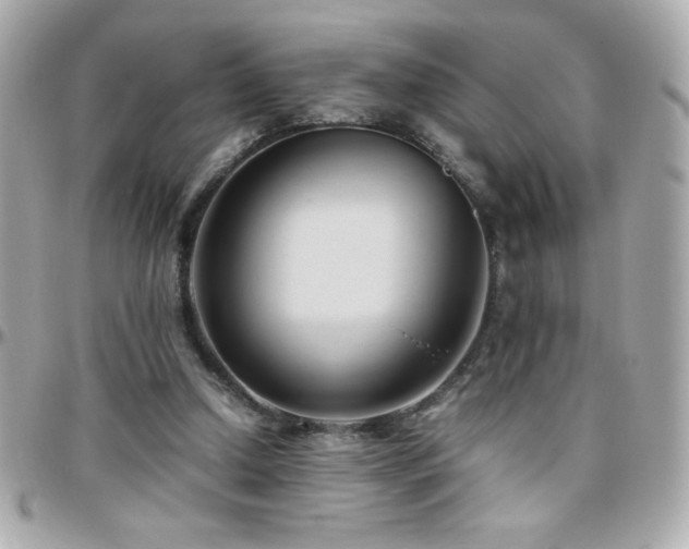 X0000096460250200801241413