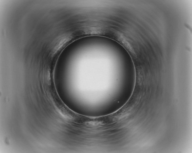 X0000096460251200801241413