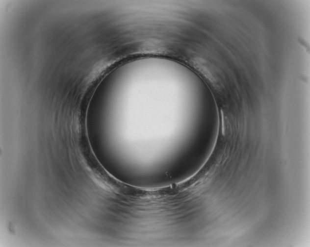 X0000096460252200801241413