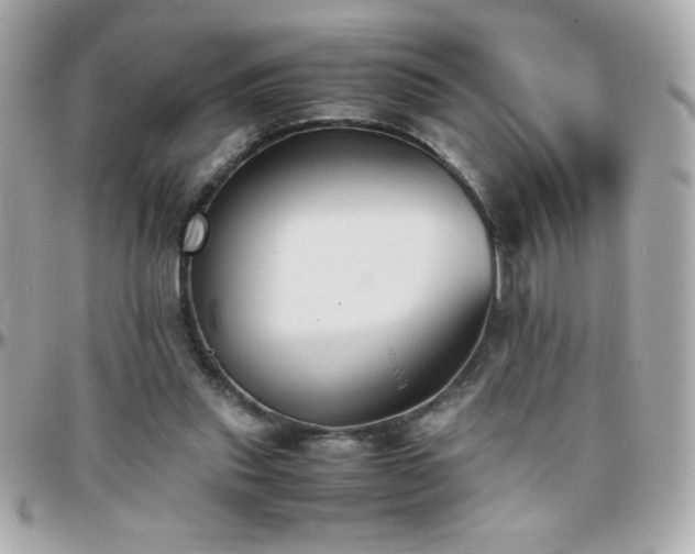 X0000096460253200801241413