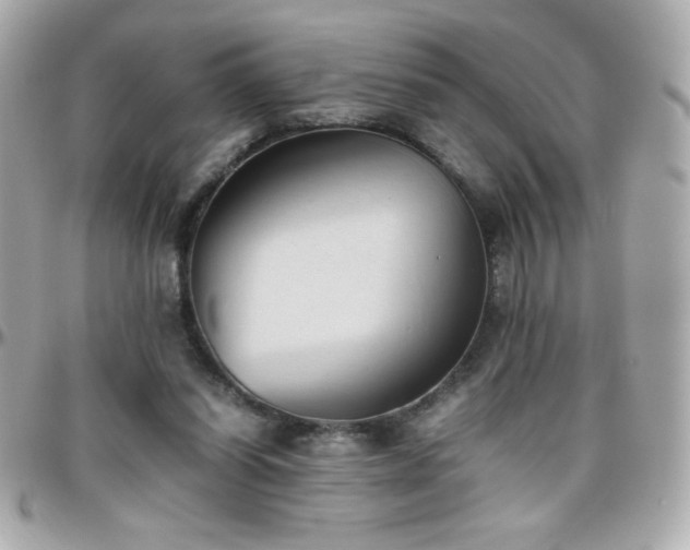 X0000096460254200801241413