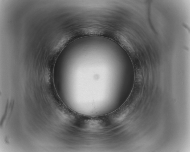 X0000096460255200801241413