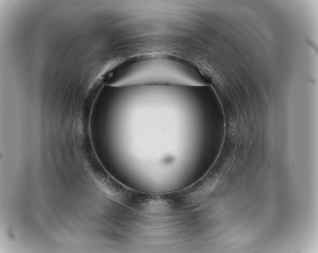 X0000096460256200801241413