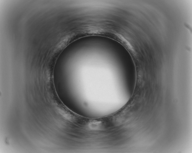 X0000096460257200801241413