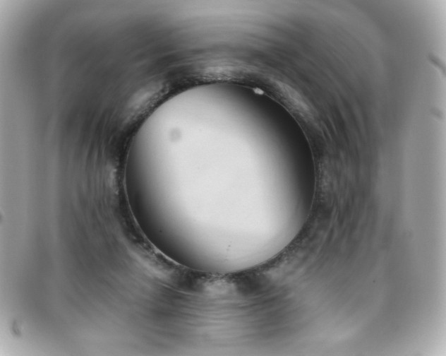X0000096460258200801241413