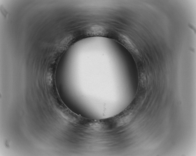 X0000096460259200801241413