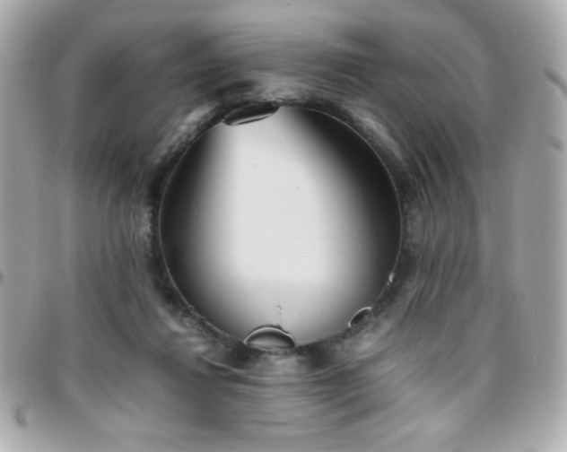 X0000096460260200801241413