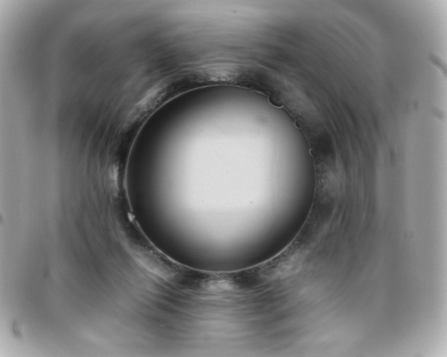 X0000096460262200801241413