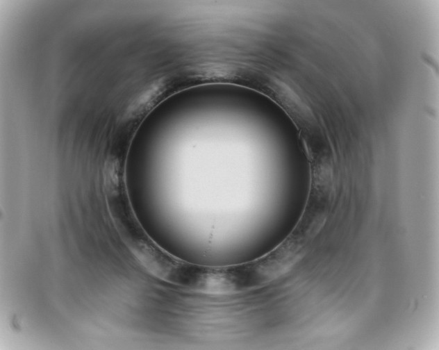 X0000096460264200801241413