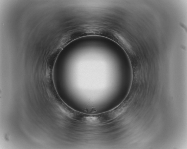 X0000096460265200801241413