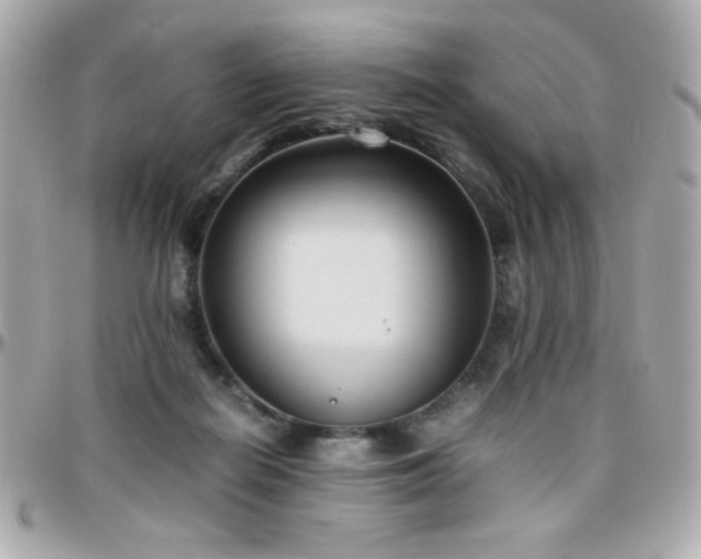 X0000096460266200801241413