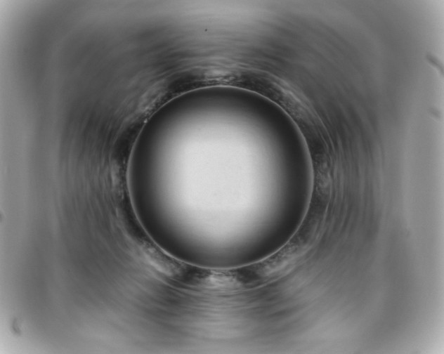 X0000096460270200801241413
