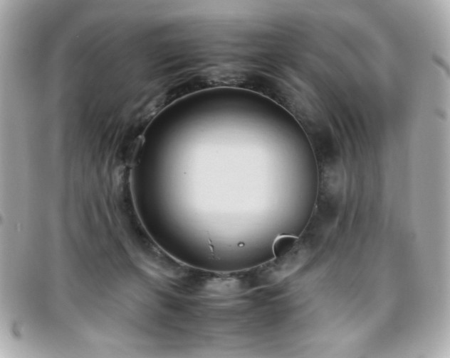 X0000096460271200801241413