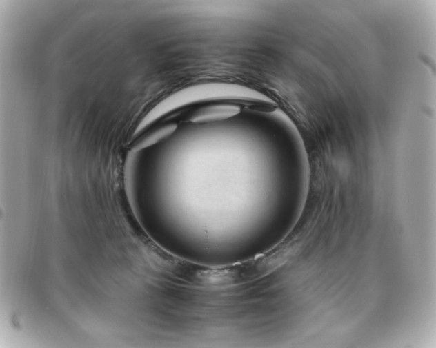 X0000096460273200801241413