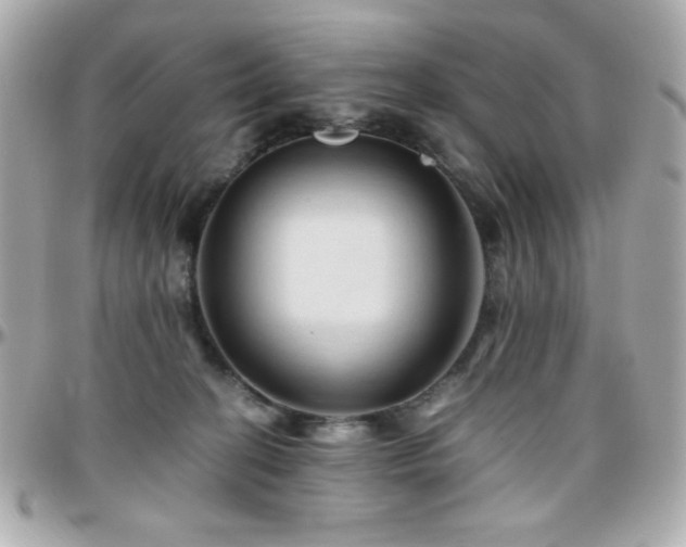 X0000096460274200801241413
