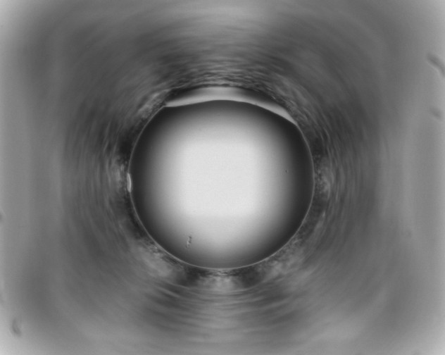 X0000096460276200801241413