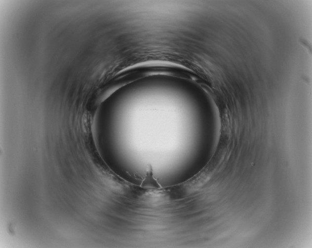 X0000096460280200801241413
