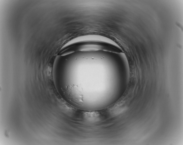 X0000096460281200801241413