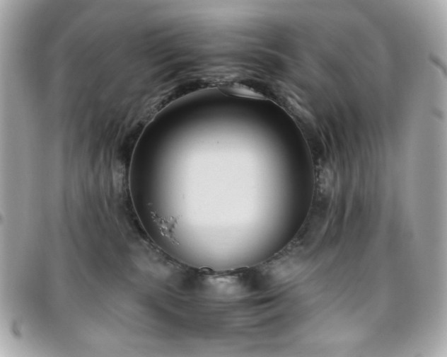 X0000096460283200801241413