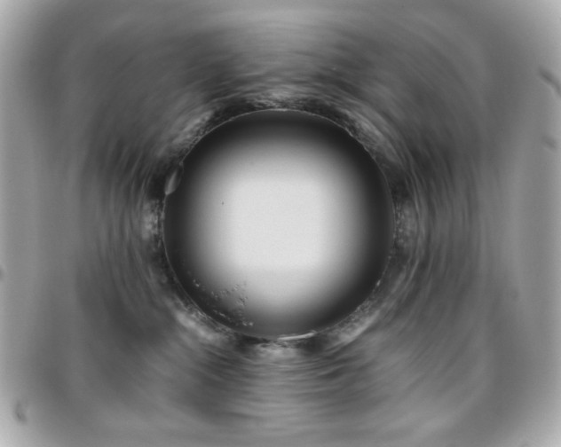 X0000096460284200801241413