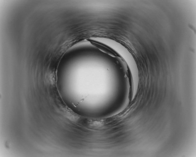 X0000096460285200801241413