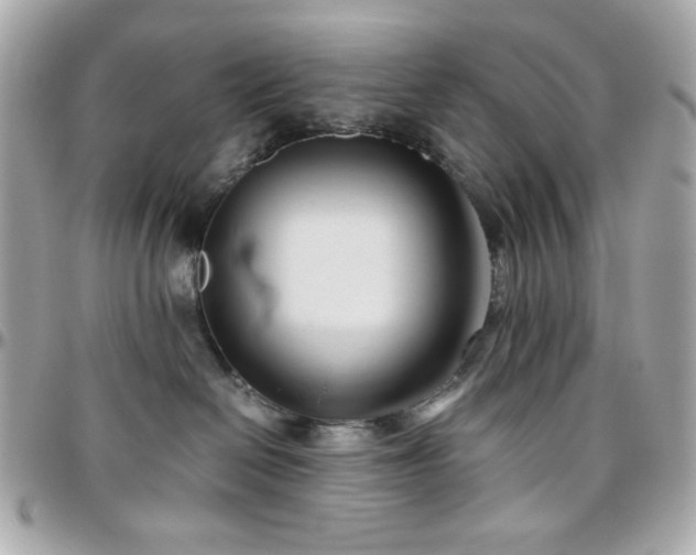 X0000096460286200801241413