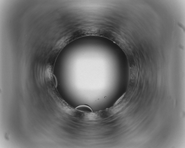 X0000096460287200801241413